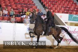 18BUCK_02766 proof