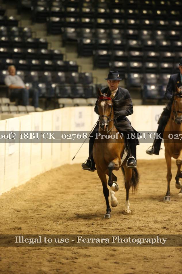 Proof 18BUCK_02768