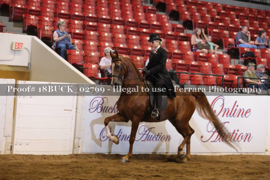 Proof 18BUCK_02769