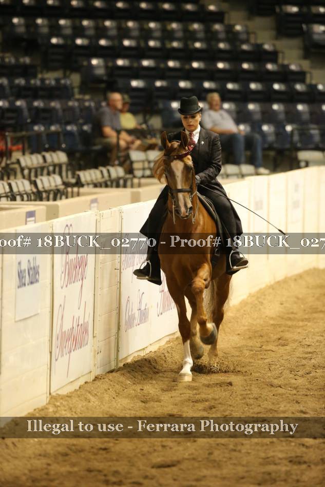 Proof 18BUCK_02770