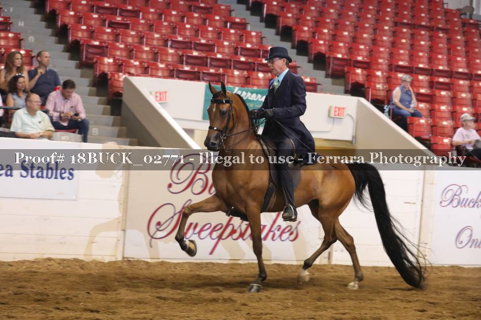 Proof 18BUCK_02771