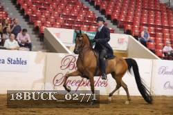 18BUCK_02771 proof