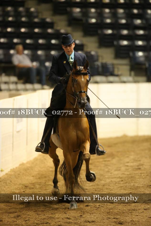 Proof 18BUCK_02772