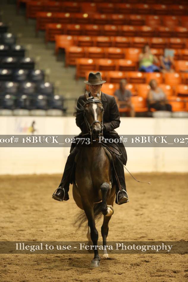 Proof 18BUCK_02773