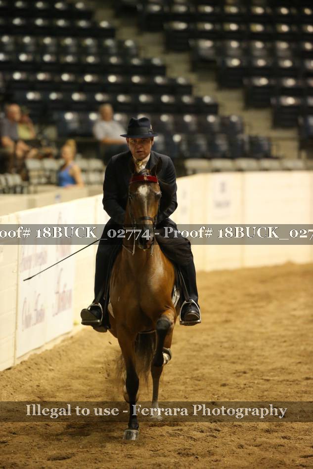 Proof 18BUCK_02774
