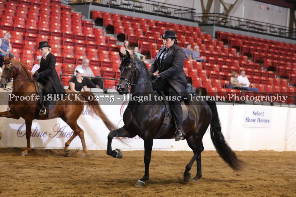 Proof 18BUCK_02775