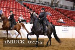18BUCK_02775 proof