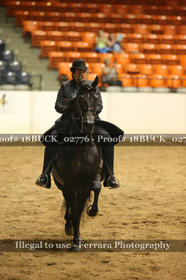 Proof 18BUCK_02776