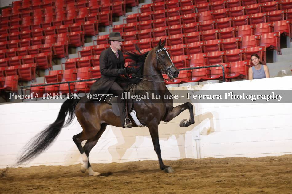 Proof 18BUCK_02777