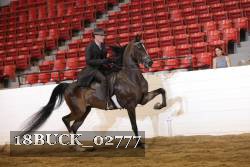 18BUCK_02777 proof