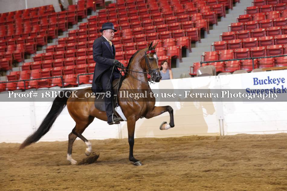 Proof 18BUCK_02778