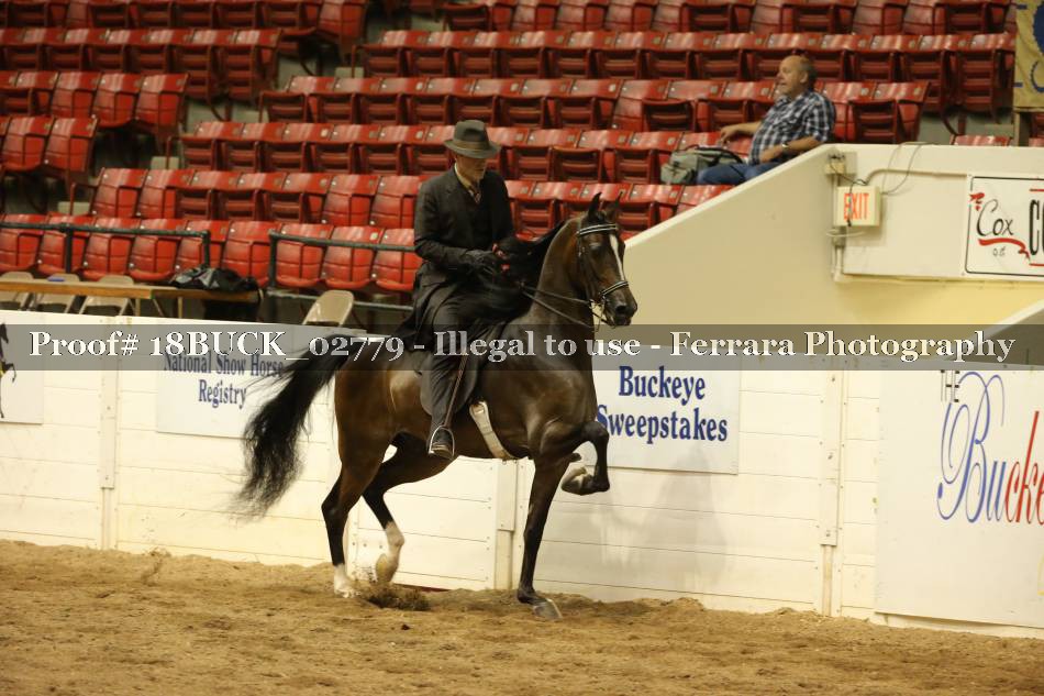Proof 18BUCK_02779