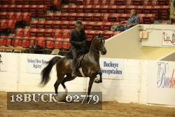 18BUCK_02779 proof
