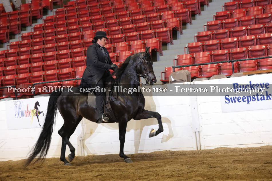 Proof 18BUCK_02780