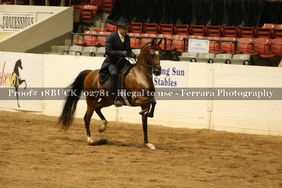 Proof 18BUCK_02781