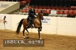 18BUCK_02781 proof