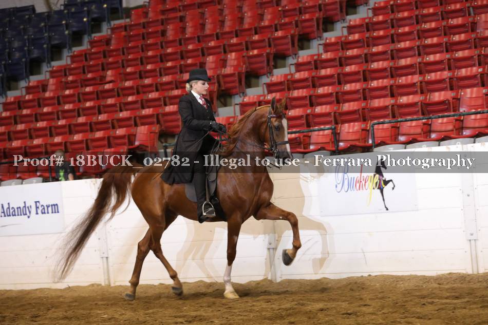 Proof 18BUCK_02782