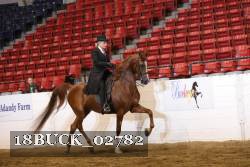 18BUCK_02782 proof