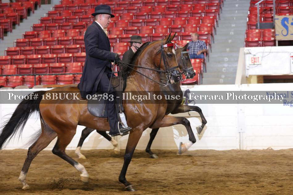 Proof 18BUCK_02783