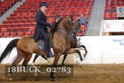 18BUCK_02783 proof