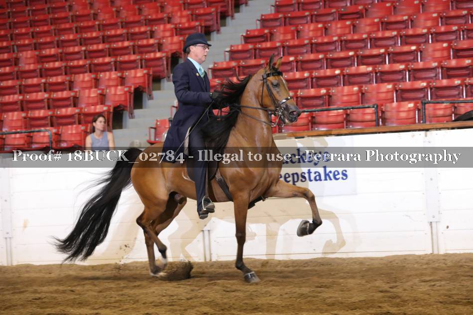 Proof 18BUCK_02784