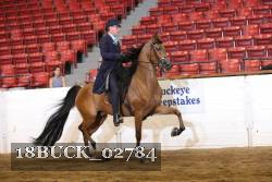 18BUCK_02784 proof