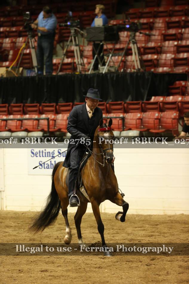 Proof 18BUCK_02785