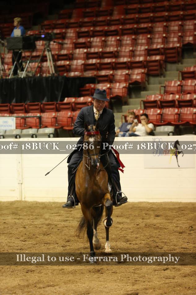 Proof 18BUCK_02786