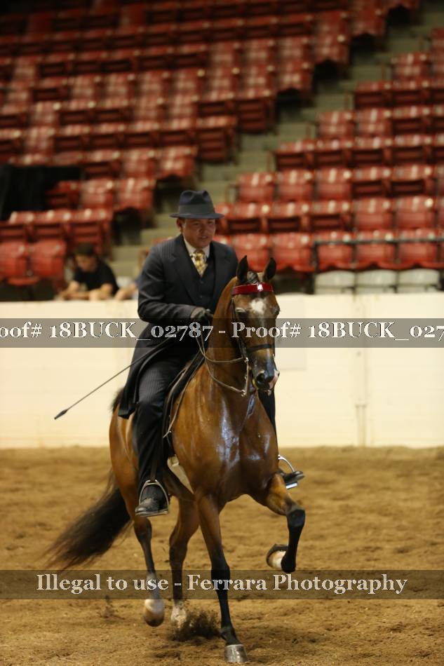 Proof 18BUCK_02787