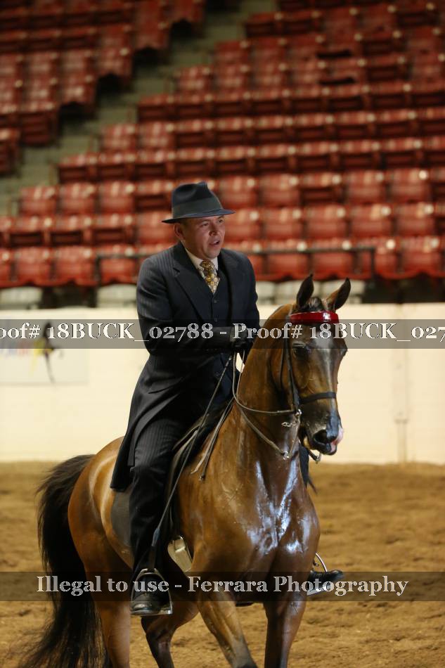 Proof 18BUCK_02788