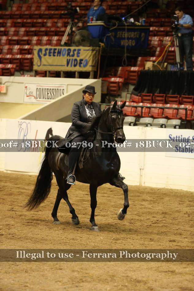 Proof 18BUCK_02789