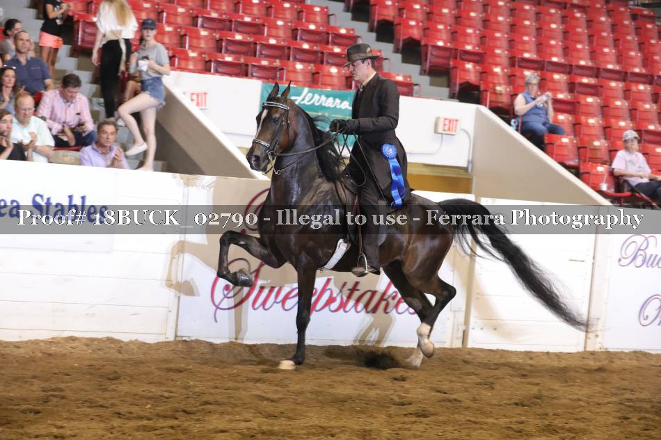 Proof 18BUCK_02790