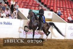 18BUCK_02790 proof