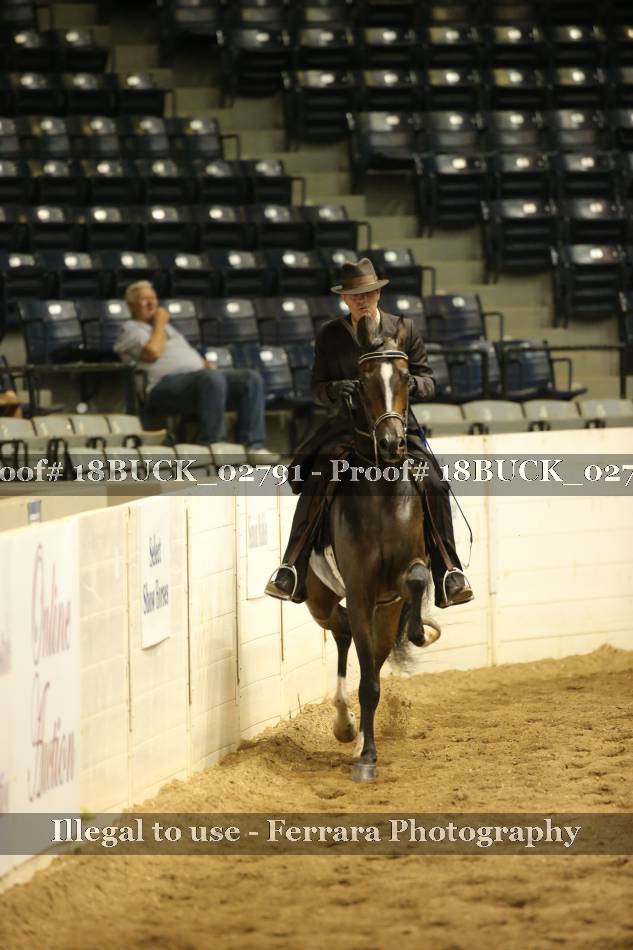 Proof 18BUCK_02791