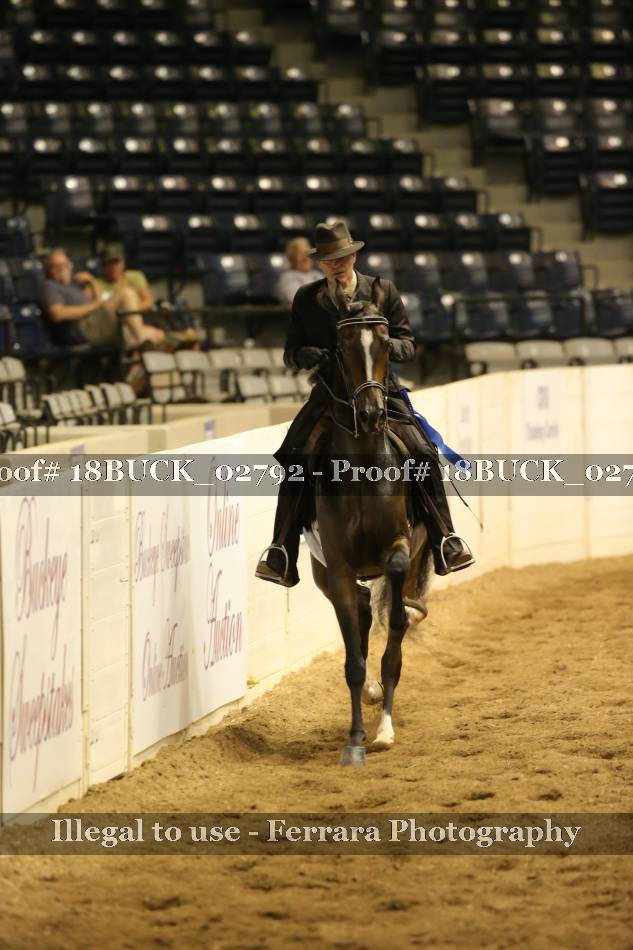 Proof 18BUCK_02792