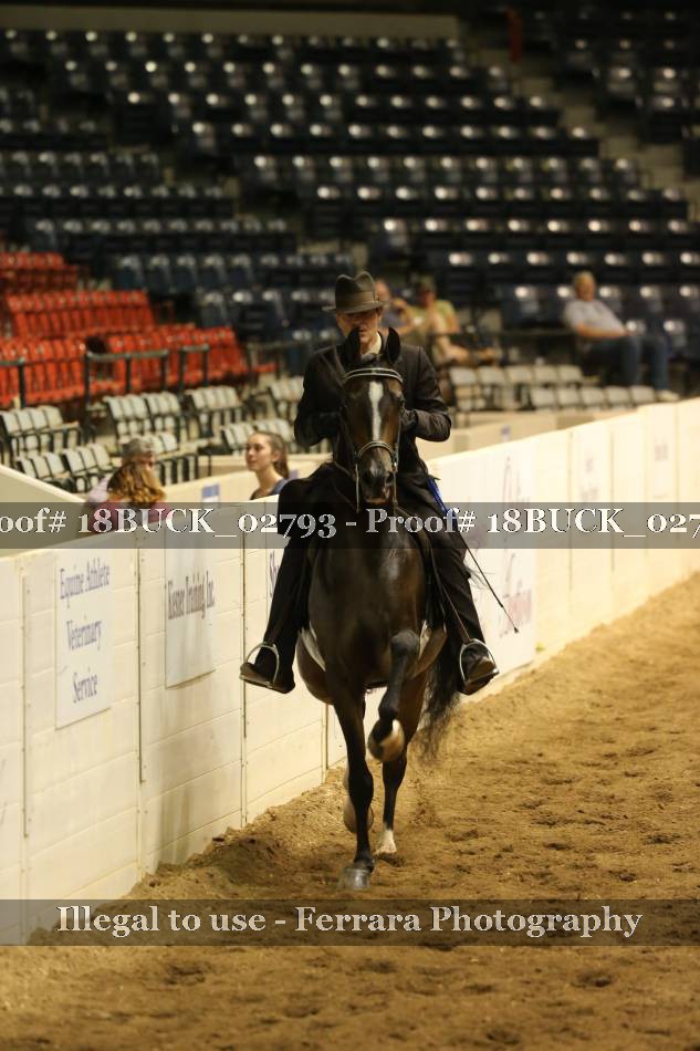 Proof 18BUCK_02793