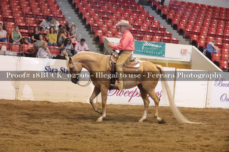 Proof 18BUCK_02796