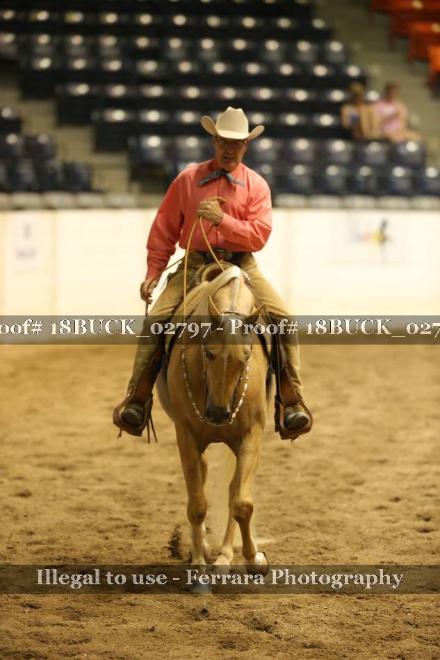 Proof 18BUCK_02797