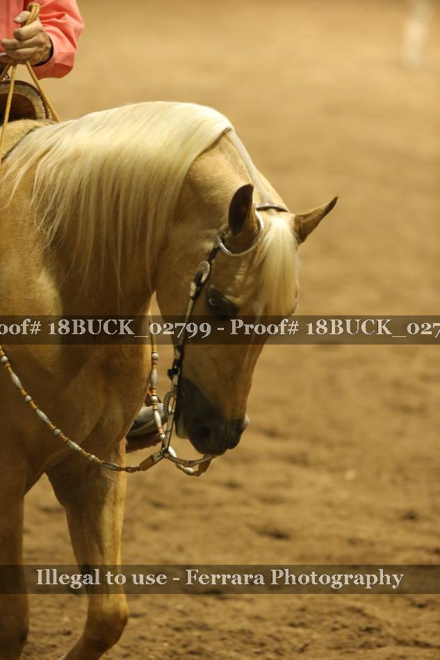 Proof 18BUCK_02799