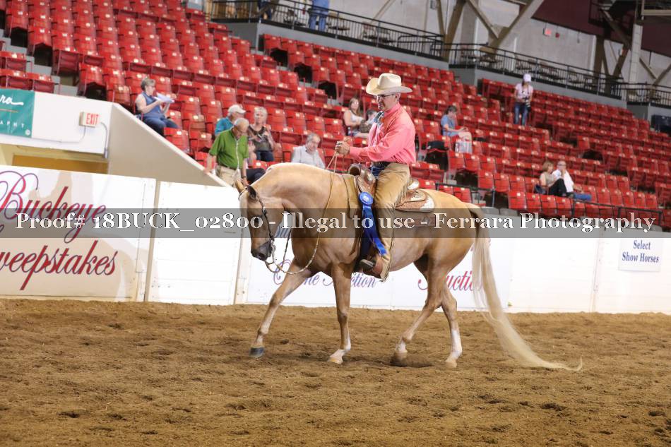 Proof 18BUCK_02800