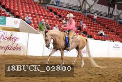 18BUCK_02800 proof