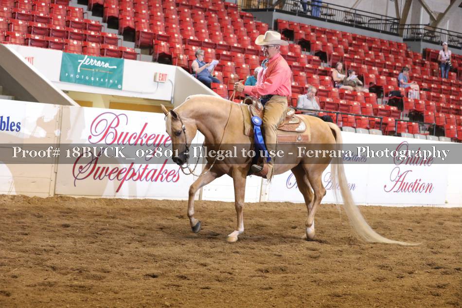Proof 18BUCK_02801