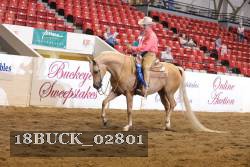 18BUCK_02801 proof