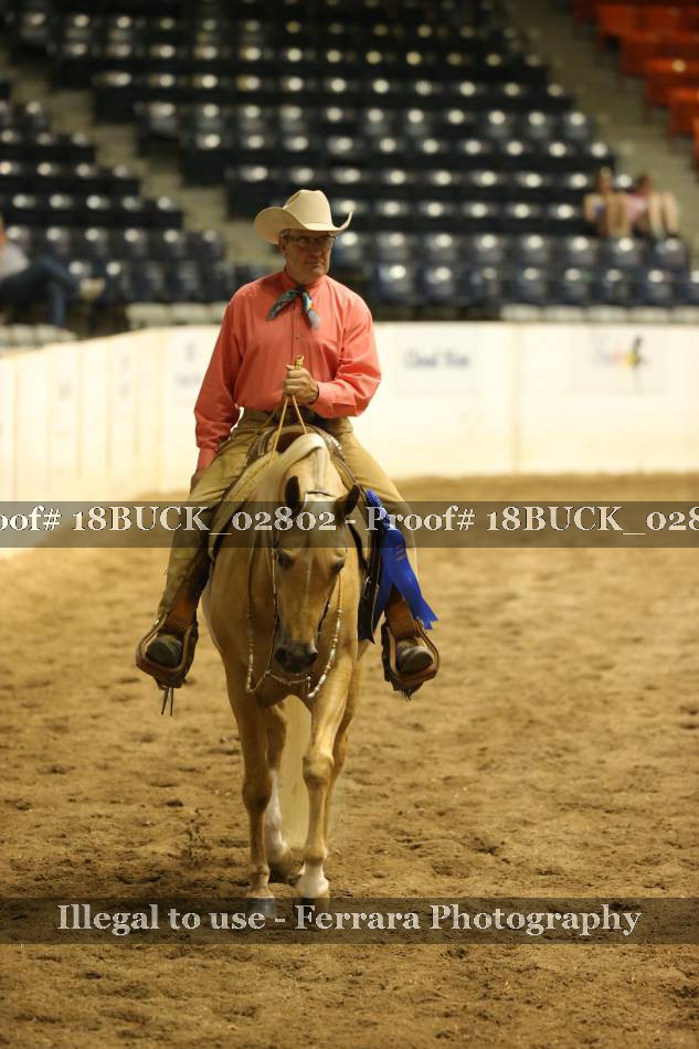 Proof 18BUCK_02802