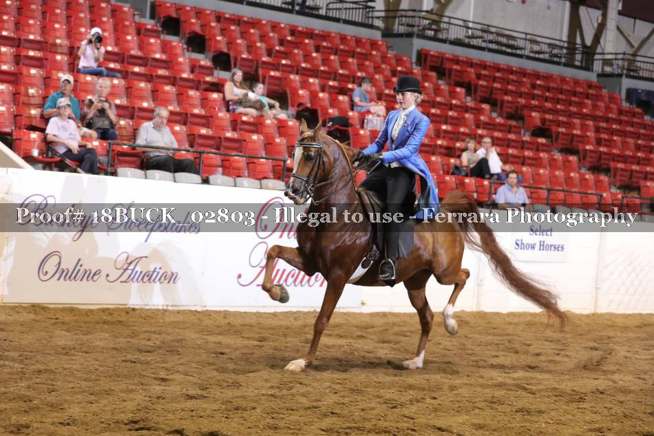 Proof 18BUCK_02803