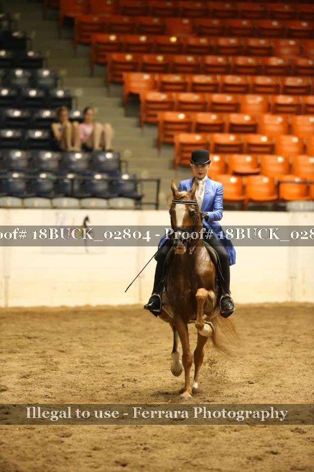 Proof 18BUCK_02804