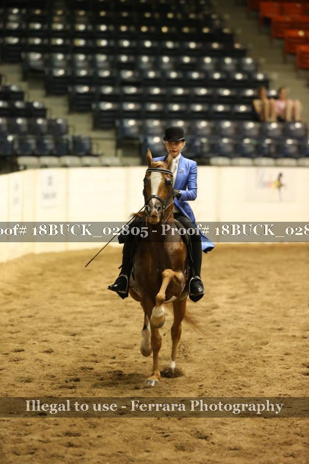 Proof 18BUCK_02805