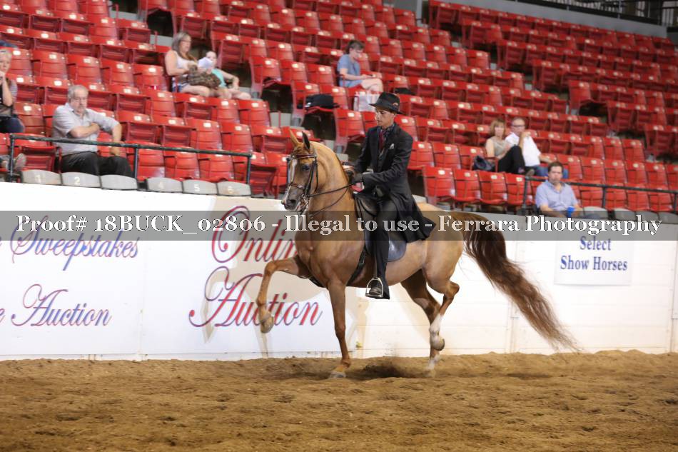 Proof 18BUCK_02806