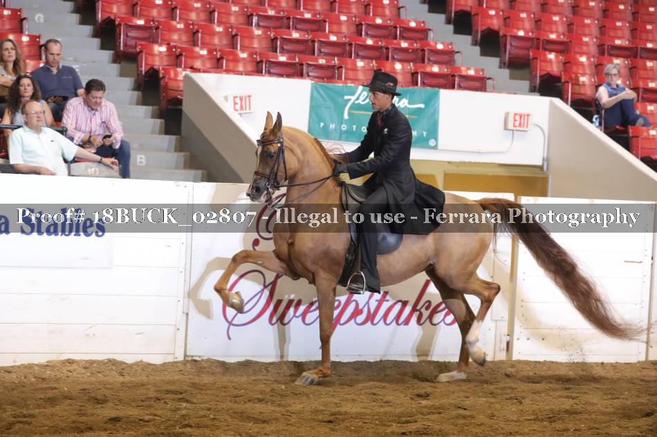 Proof 18BUCK_02807