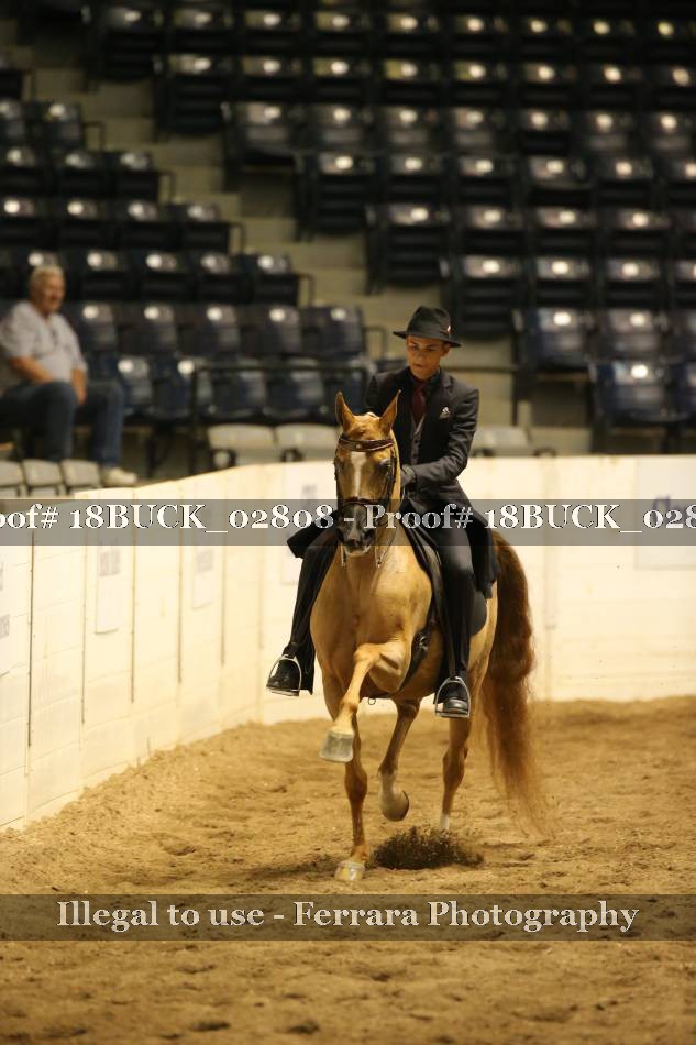 Proof 18BUCK_02808